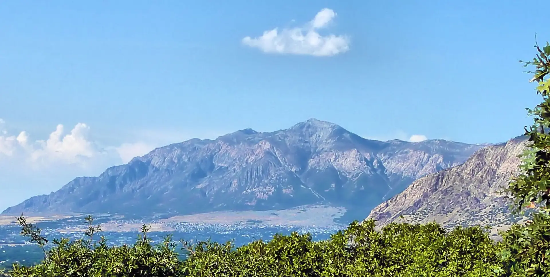 ogden 2